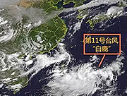 ”白鹿”即将到来欧迪斯家具提醒大家注意防暑防台风